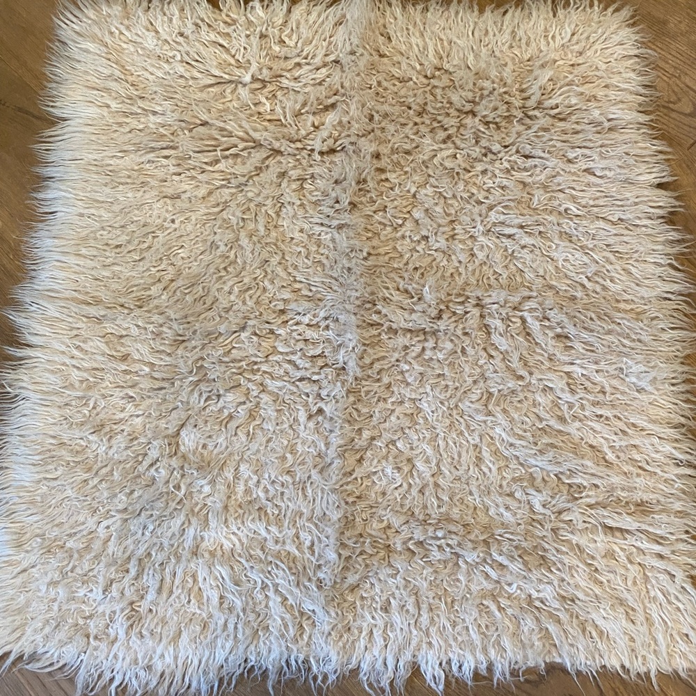 Plush Cream Shag Accent Rug